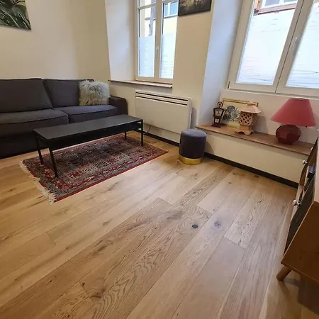 La Cigogne D'alsace 3 Apartament