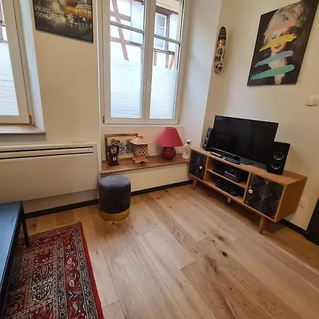 La Cigogne D'alsace 3 Apartment Selestat