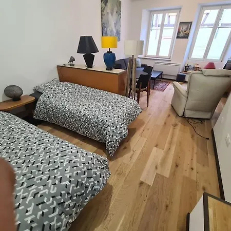 La Cigogne D'alsace 3 * Selestat