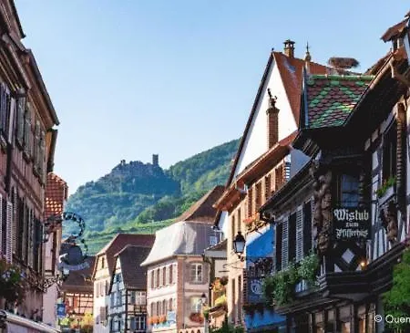 La Cigogne D'alsace 3 Apartament Sélestat