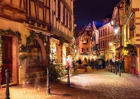 La Cigogne D'alsace 3 * Sélestat