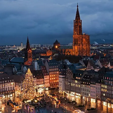 La Cigogne D'alsace 3 Selestat
