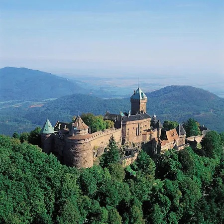 La Cigogne D'alsace 3 Apartament